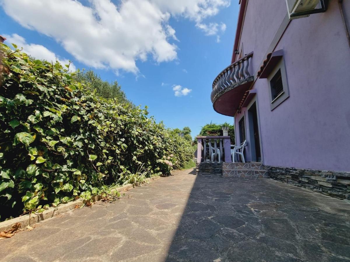 Apartmani Nika Bibinje Luaran gambar